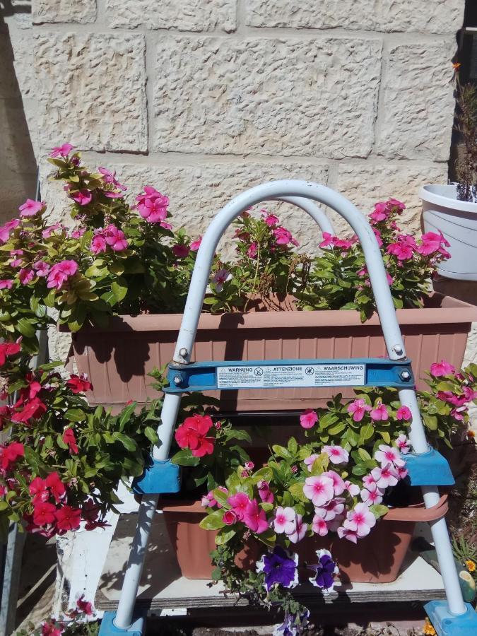 Cozy Garden Apartment Yerusalem Bagian luar foto