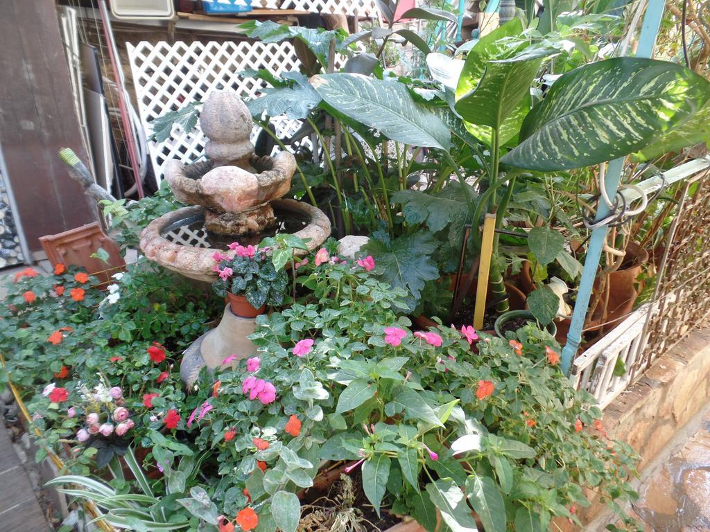 Cozy Garden Apartment Yerusalem Bagian luar foto