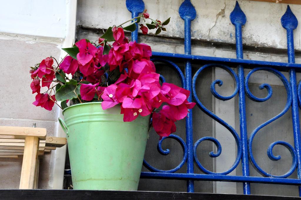 Cozy Garden Apartment Yerusalem Bagian luar foto