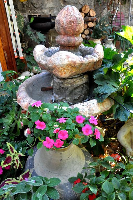 Cozy Garden Apartment Yerusalem Bagian luar foto