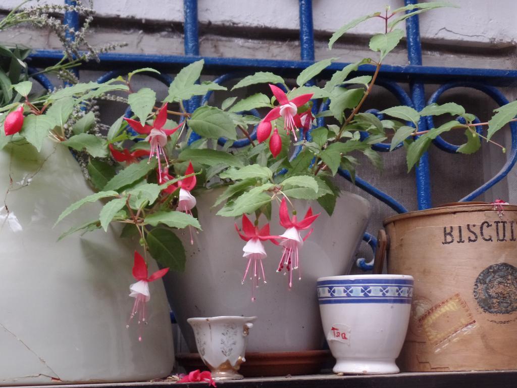 Cozy Garden Apartment Yerusalem Bagian luar foto