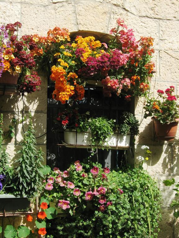 Cozy Garden Apartment Yerusalem Bagian luar foto