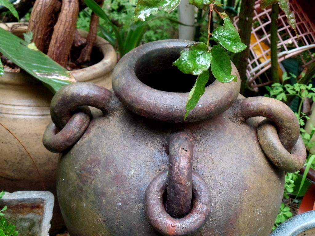 Cozy Garden Apartment Yerusalem Bagian luar foto
