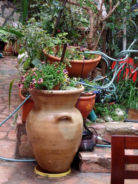 Cozy Garden Apartment Yerusalem Bagian luar foto