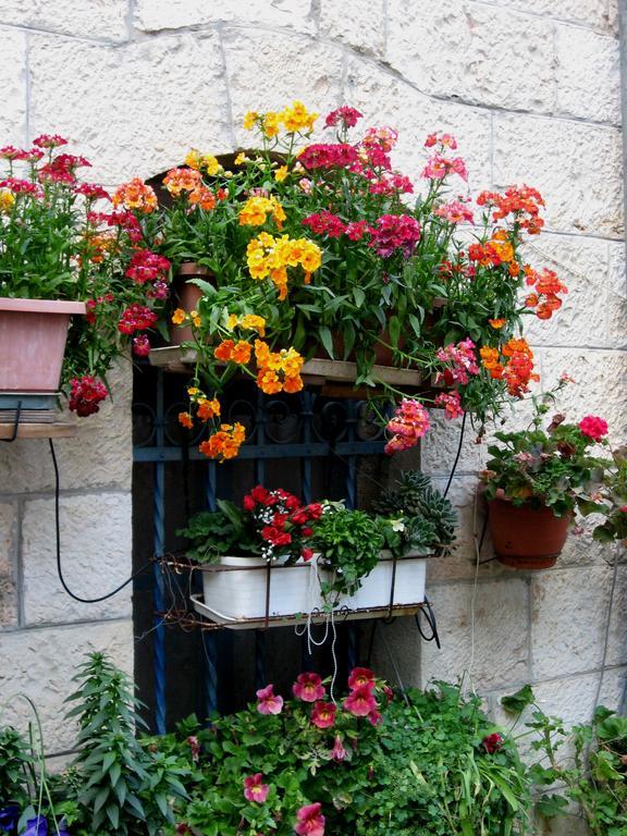 Cozy Garden Apartment Yerusalem Bagian luar foto