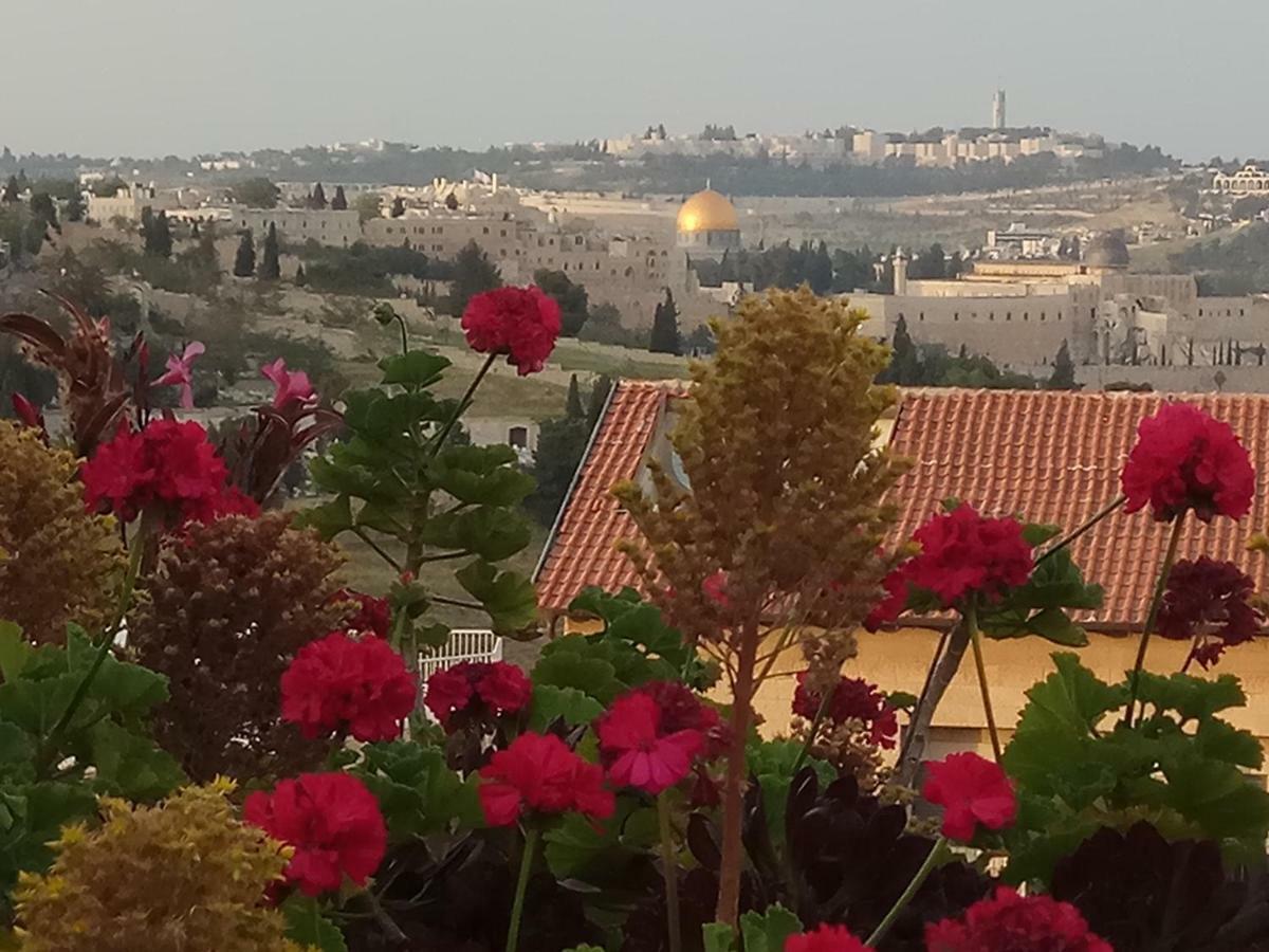 Cozy Garden Apartment Yerusalem Bagian luar foto
