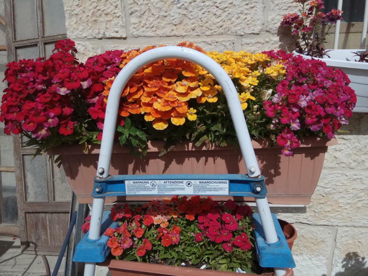 Cozy Garden Apartment Yerusalem Bagian luar foto